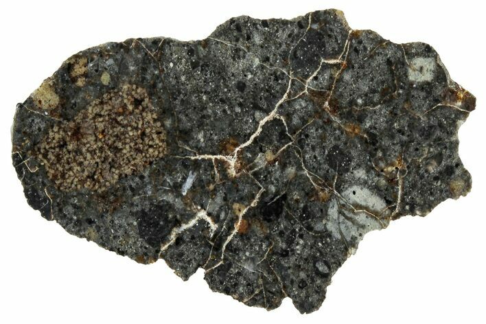 Polished Lunar Meteorite ( g) Section - Dayet el Aam #304387